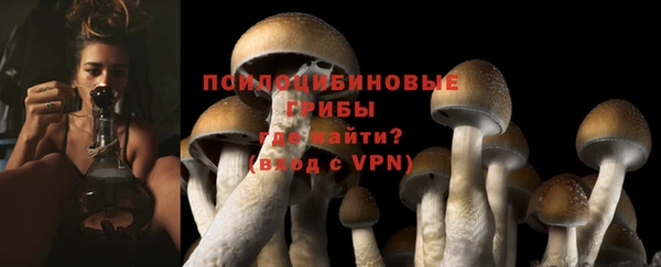 твердый Вязники