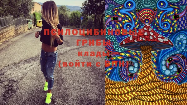 каннабис Вяземский