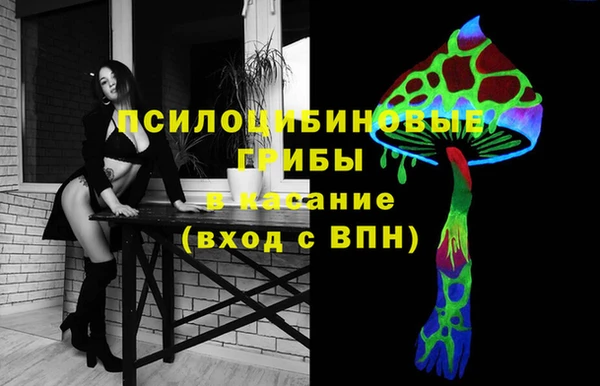твердый Вязьма