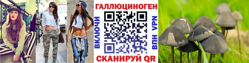 купить наркотики сайты  Пересвет  hydra tor  Псилоцибиновые грибы GOLDEN TEACHER 